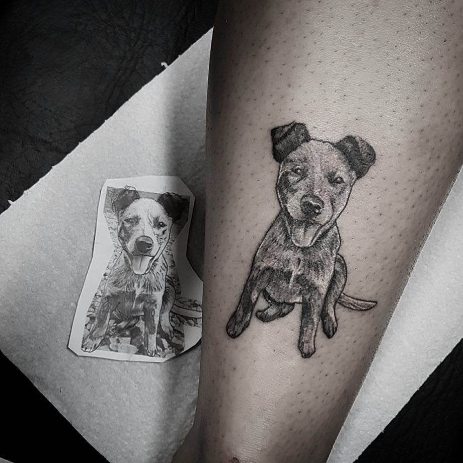 字纹身图案天津滨河新苑做水果行业的鲍先生小臂写实狗狗肖像纹身图案