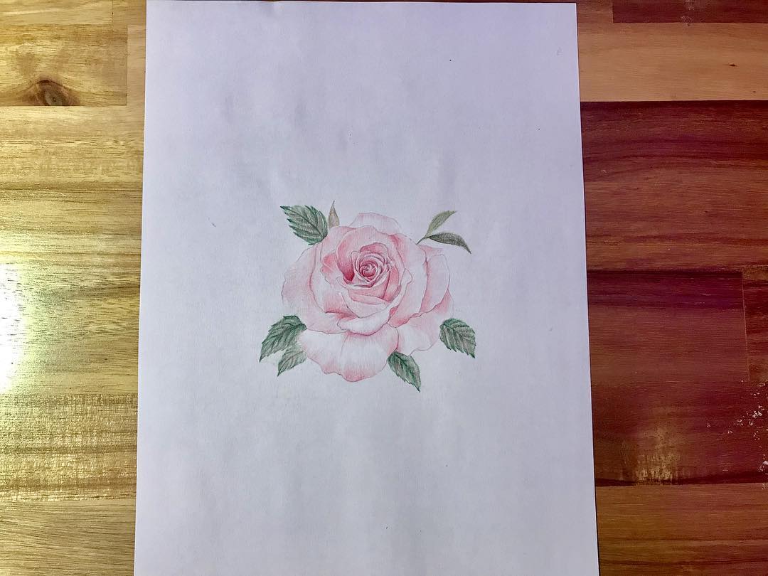 玫瑰纹身手稿
